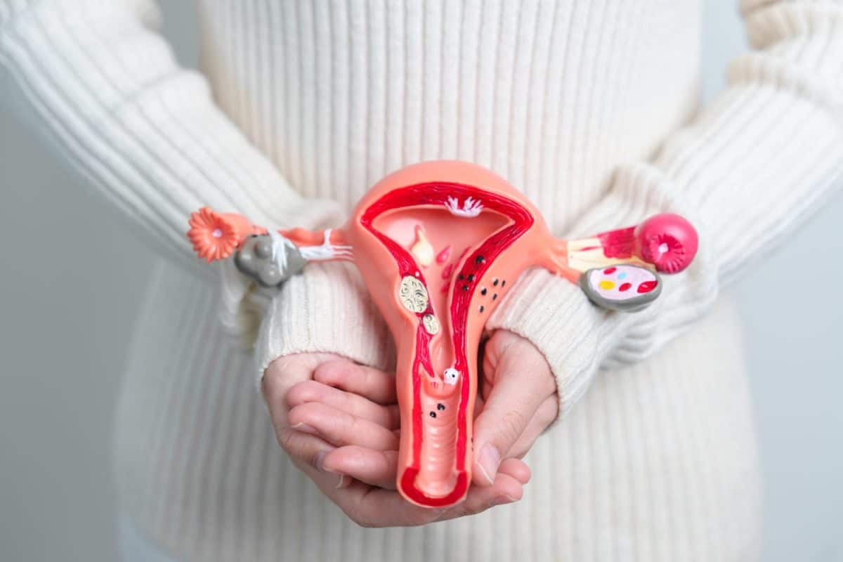 Woman holding Uterus and Ovaries model. Ovarian and Cervical cancer, Cervix disorder, Endometriosis, Hysterectomy, Uterine fibroids, Reproductive system and Pregnancy concept