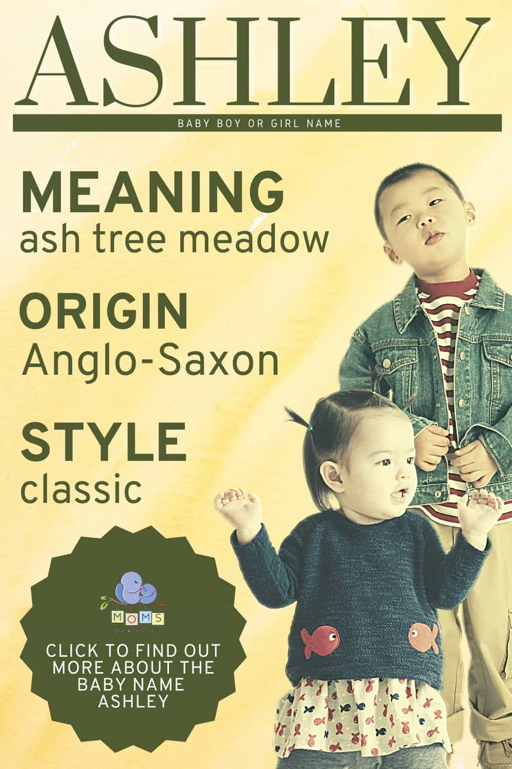 ashley-name-meaning-origin-middle-names-for-ashley