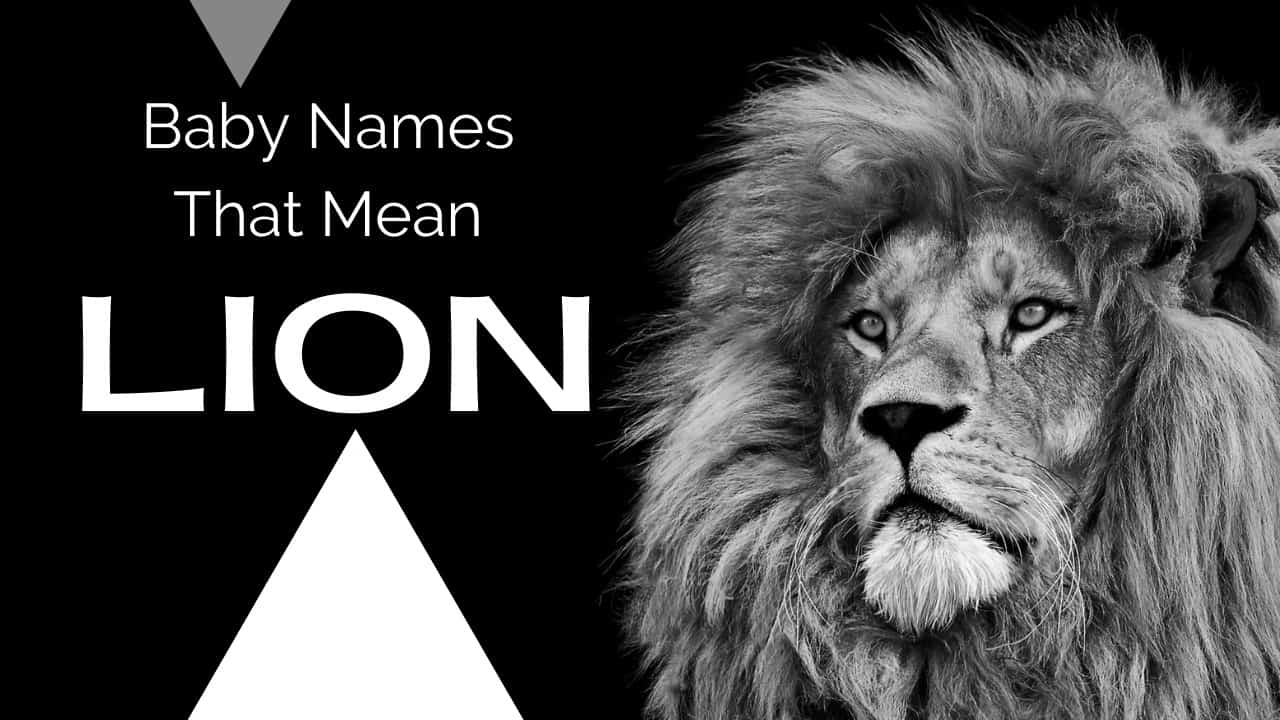 Baby Names That Mean Lion Moms Who Think