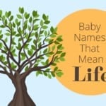 Baby Names That Mean Life