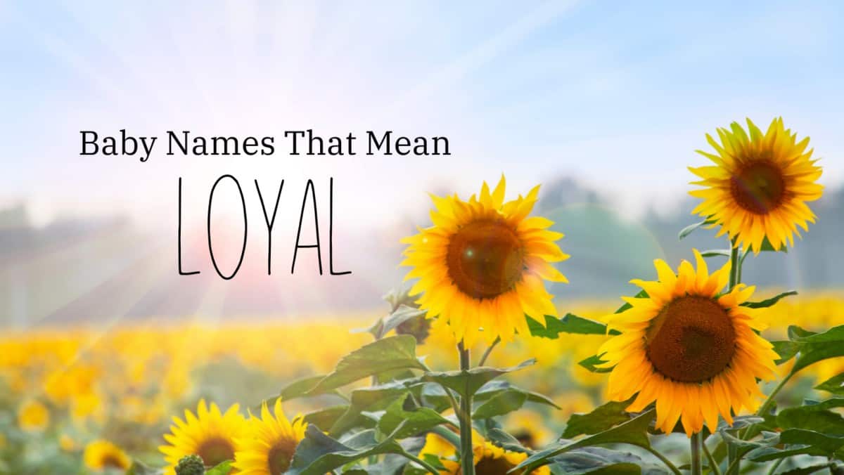 Baby Names That Mean Loyal MomsWhoThink