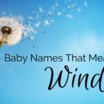 Baby Names That Mean Wind