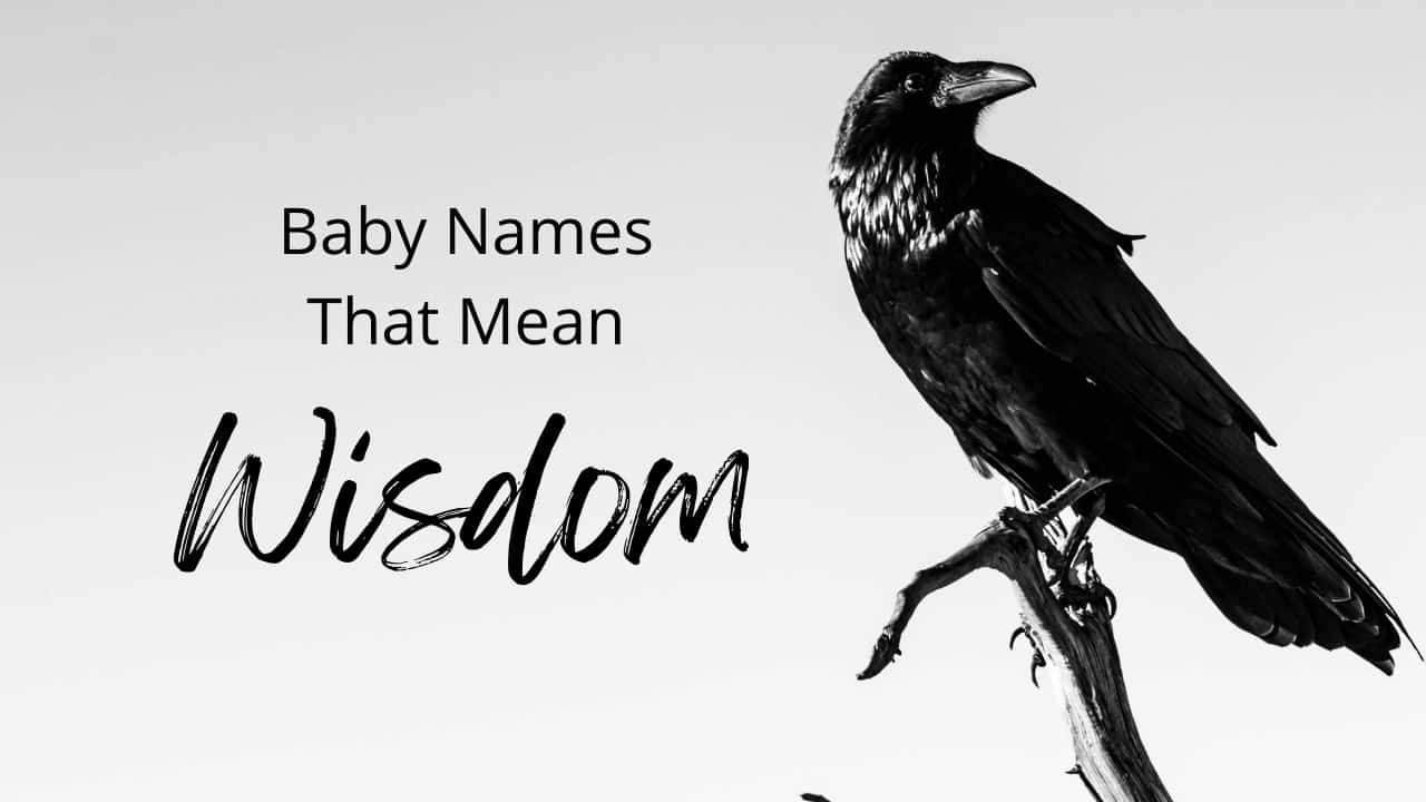 Baby Names That Mean Wisdom MomsWhoThink