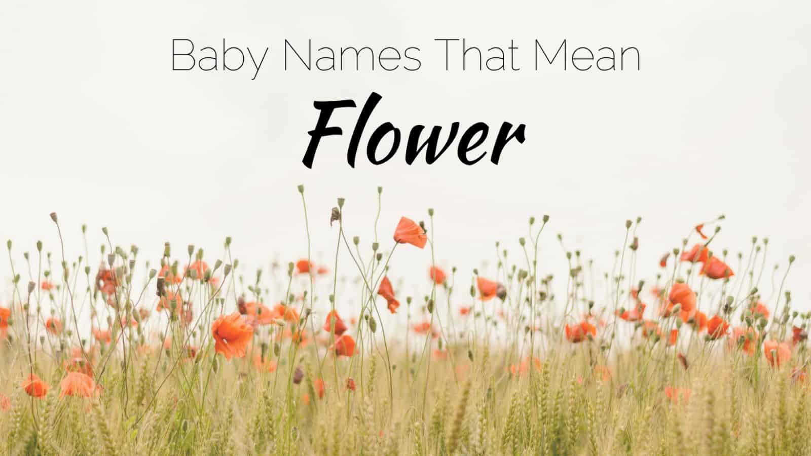 baby-names-that-mean-flower-momswhothink