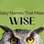 Baby Names That Mean Wise