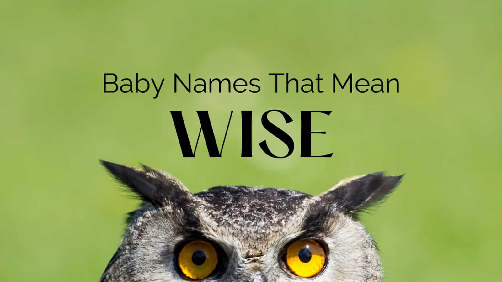 baby-names-that-mean-wise-momswhothink