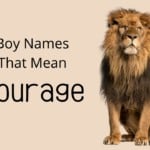 Boy Names That Mean Courage