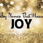 Boy Names That Mean Joy