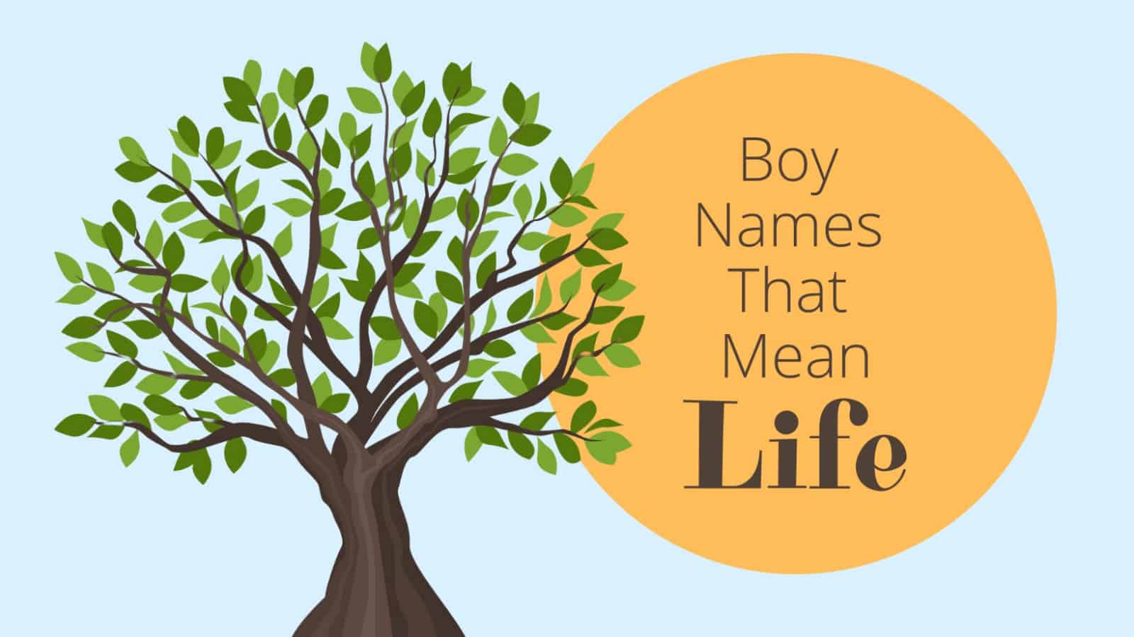 Names That Mean Strong Willed Boy