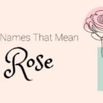 Boy Names That Mean Rose