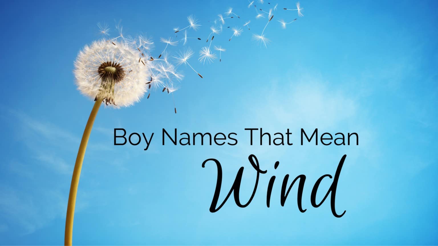 List Of Boy Names That Mean Wind