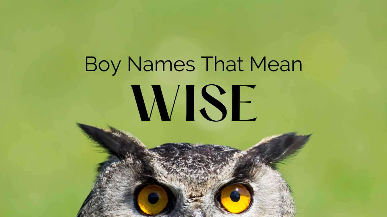 What Male Names Mean Wise