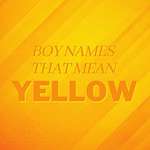 Boy Names That Mean Yellow