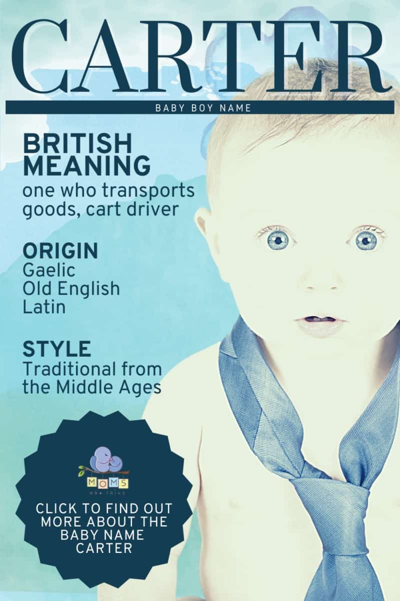 Carter Meaning In English Oxford