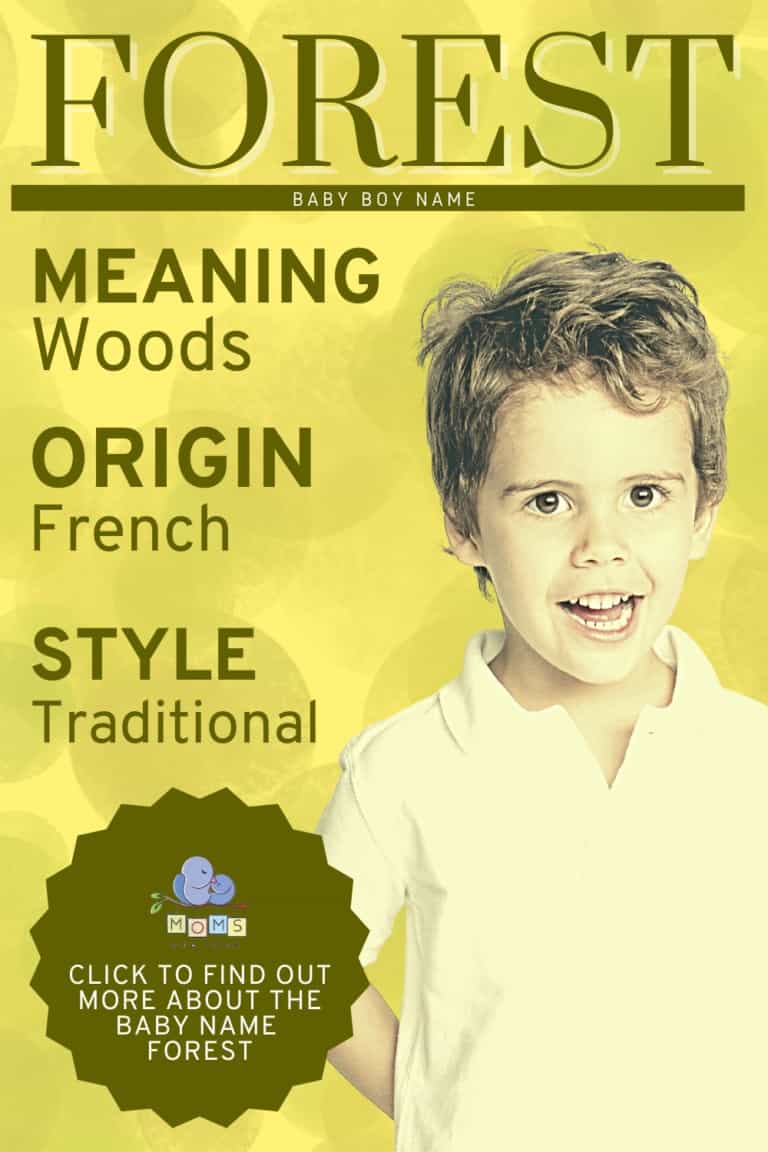 forest-name-meaning-origin-middle-names-for-forest