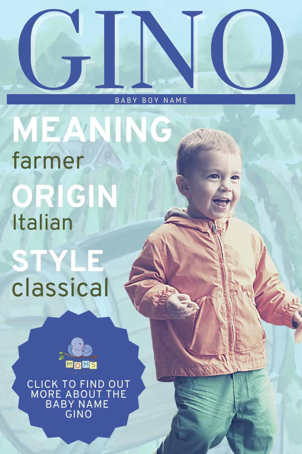 gino-name-meaning-origin-middle-names-for-gino