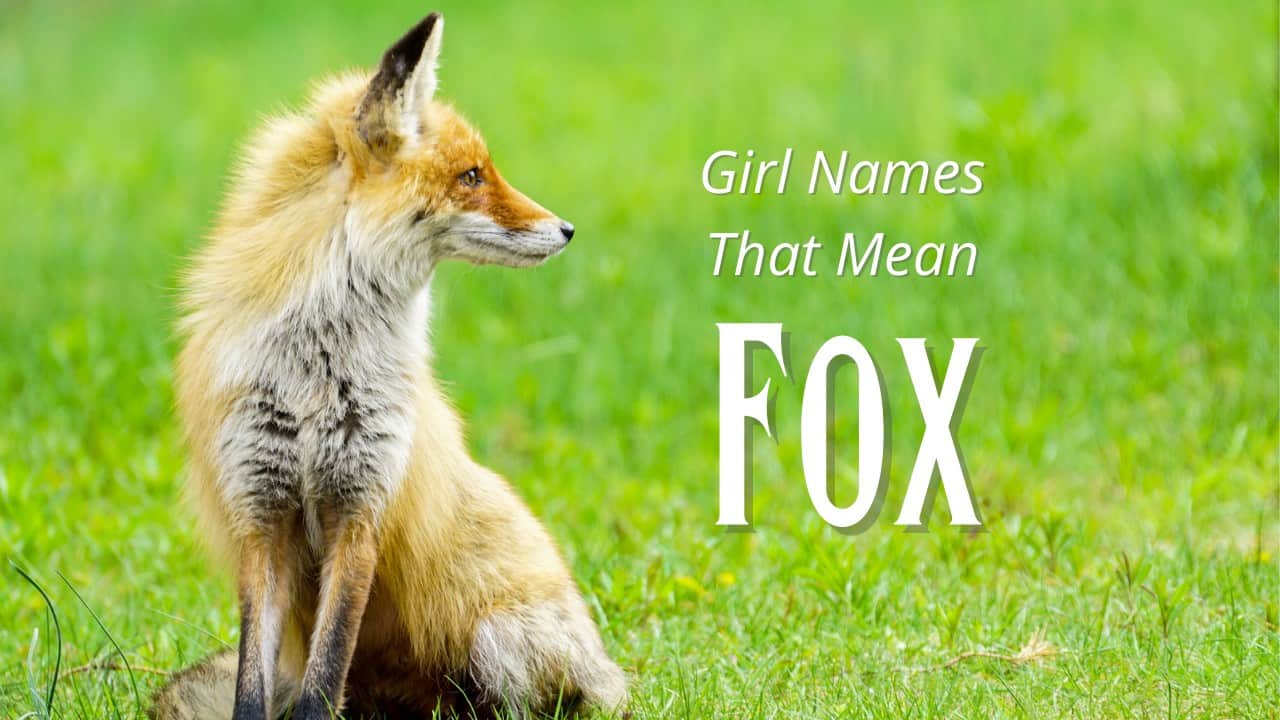Girl Names That Mean Fox That We LOVE! | MomsWhoThink.com