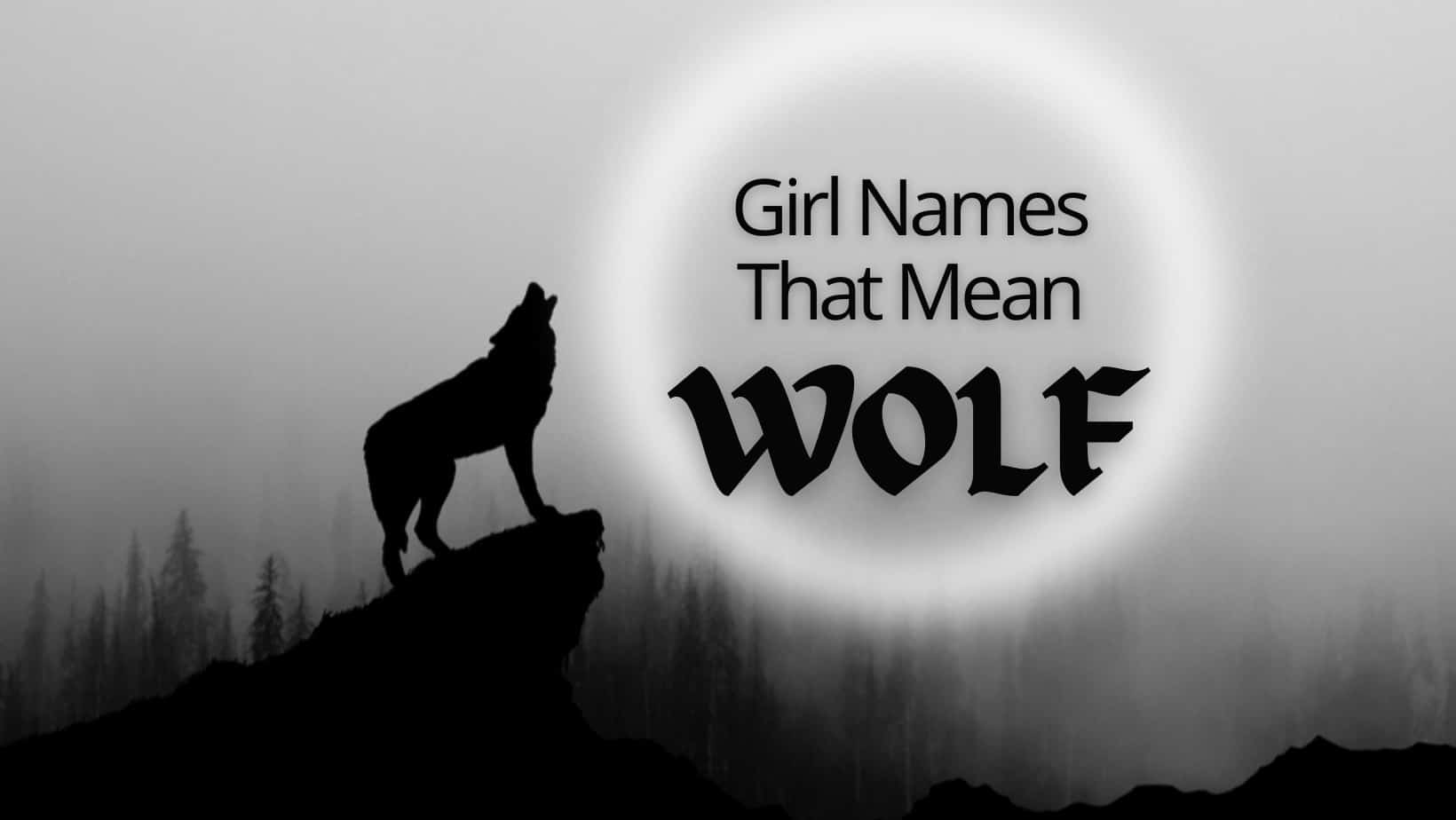 Mean a wolf