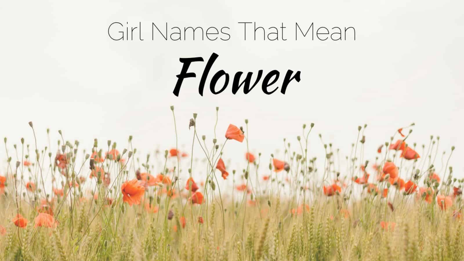 Girl Names That Mean Beautiful Flower