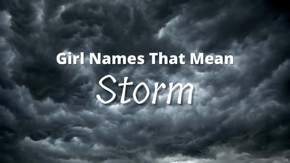 Japanese Last Names That Mean Storm