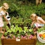 How to Teach Your Kids to Garden