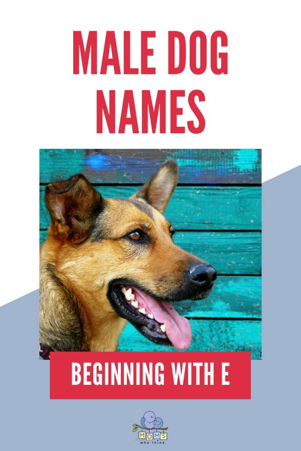 Male Dog Names E