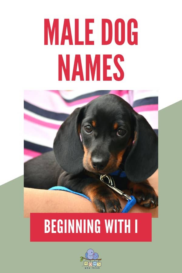 Male Dog Names I