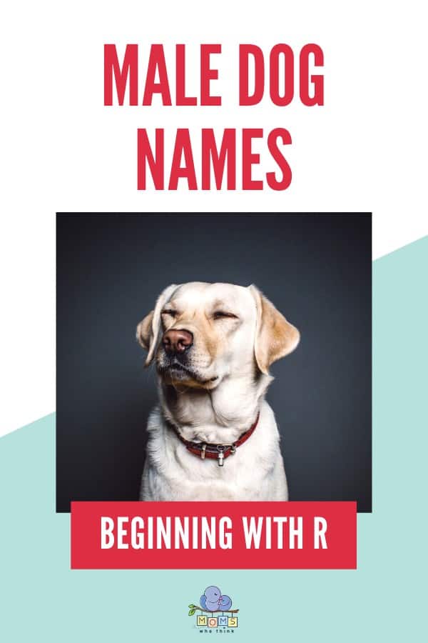 Male Dog Names R