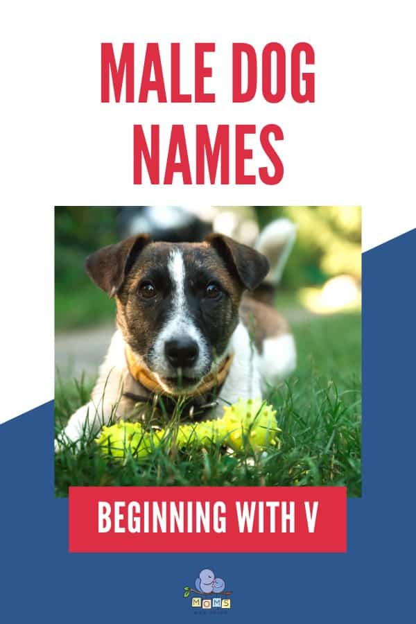 Male Dog Names V