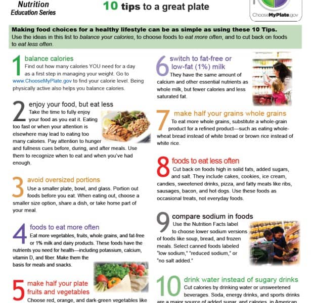 My Plate Guidelines