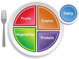 Healthy Ideas That Follow MyPlate's Guidelines