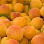 Try This Amazing Apricot Crisp Recipe