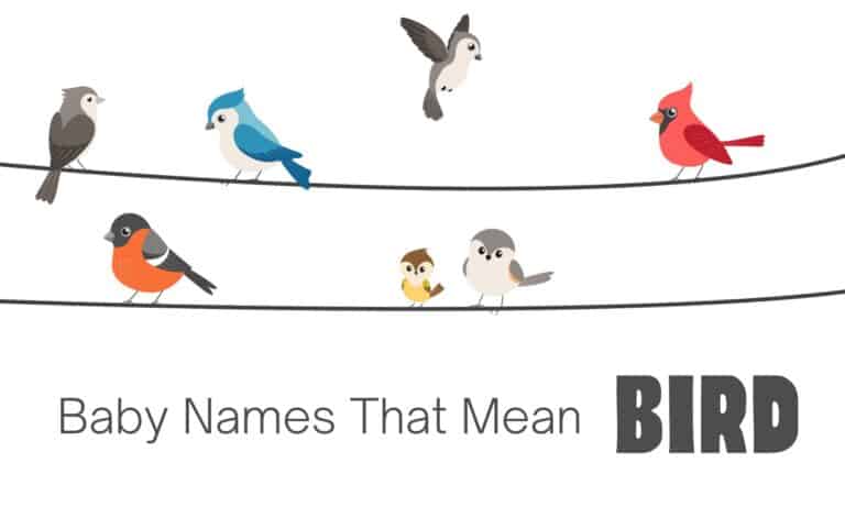 baby-names-that-mean-bird-moms-who-think