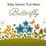 Baby Names That Mean Butterfly