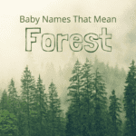 Baby Names That Mean Forest