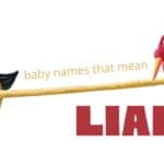 Baby Names That Mean Liar