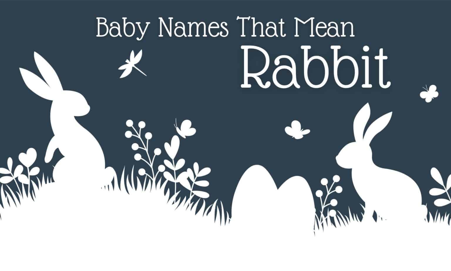 Baby Names That Mean Rabbit | MomsWhoThink.com