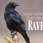 Baby Names That Mean Raven