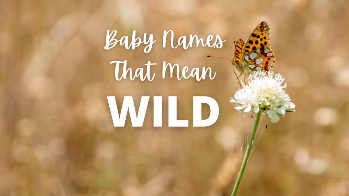 baby-names-that-mean-wild-moms-who-think