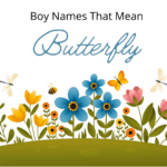 Boy Names That Mean Butterfly