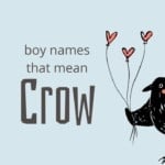 Boy Names That Mean Crow