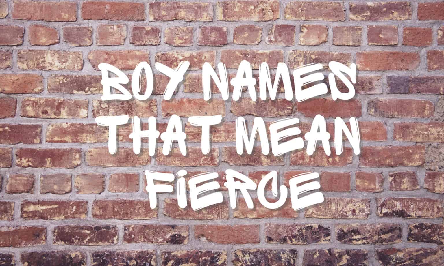 boy-names-that-mean-fierce-momswhothink