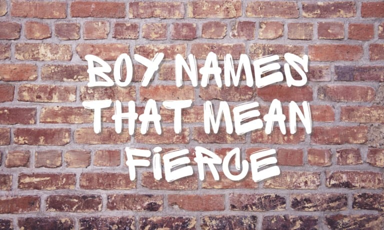 Japanese Boy Names Meaning Fierce