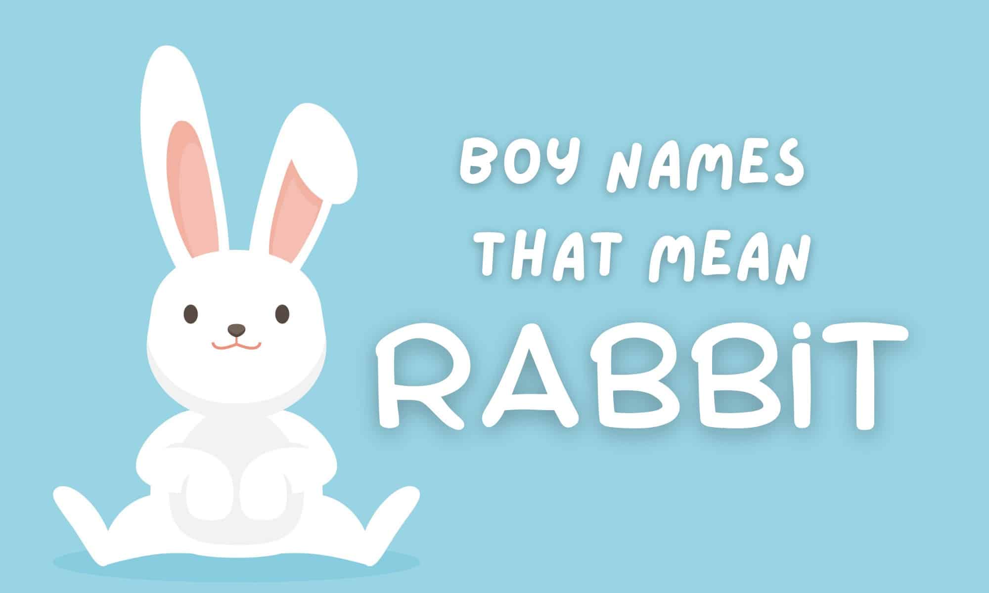 Boy Names That Mean Rabbit MomsWhoThink