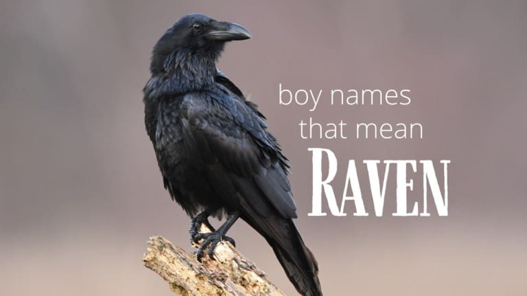 boy-names-that-mean-raven-moms-who-think