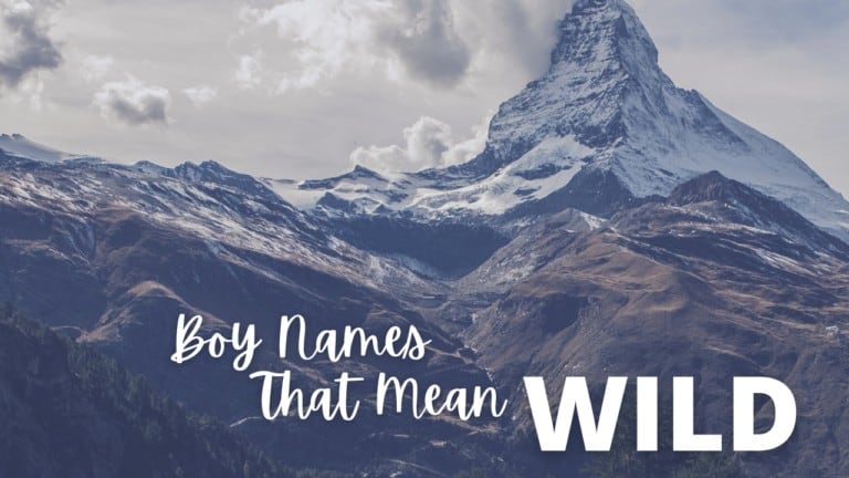 boy-names-that-mean-wild-momswhothink