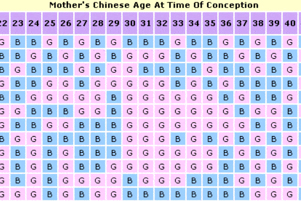 chinese lunar calendar 2022 gender