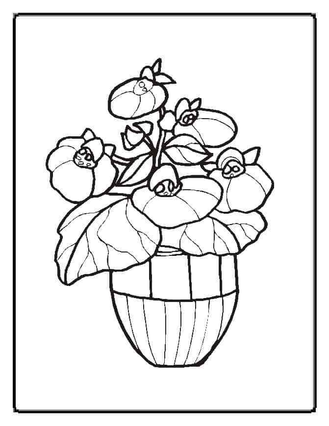 Your Child Will Love These Gorgeous Flower Coloring Pages