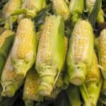 Try This Amazing Corn Chowder Recipe With Fresh Corn