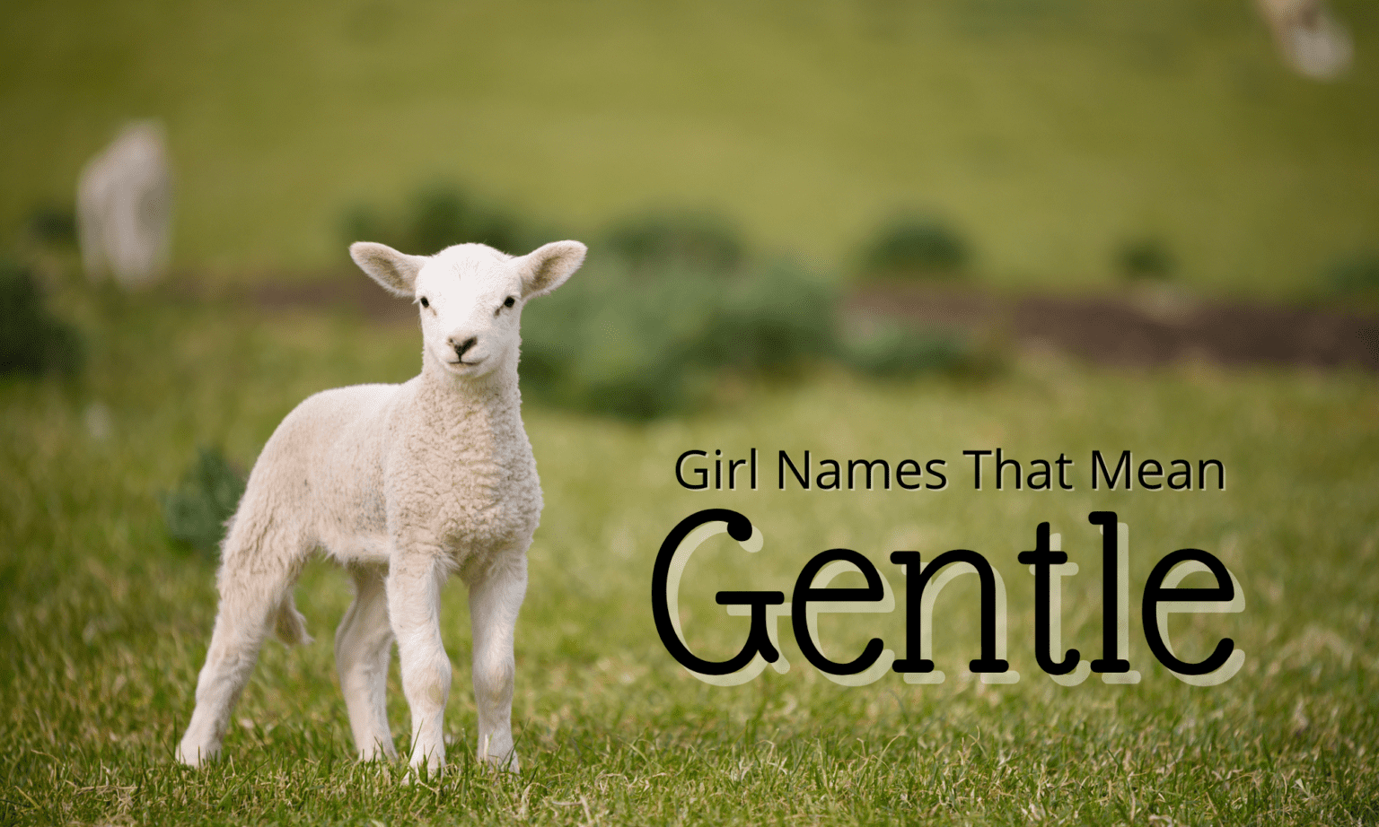 girl-names-that-mean-gentle-momswhothink